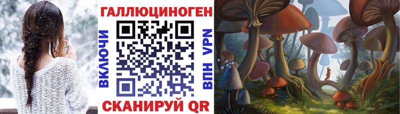 Псилоцибиновые грибы ЛСД  купить закладку  Новосиль 